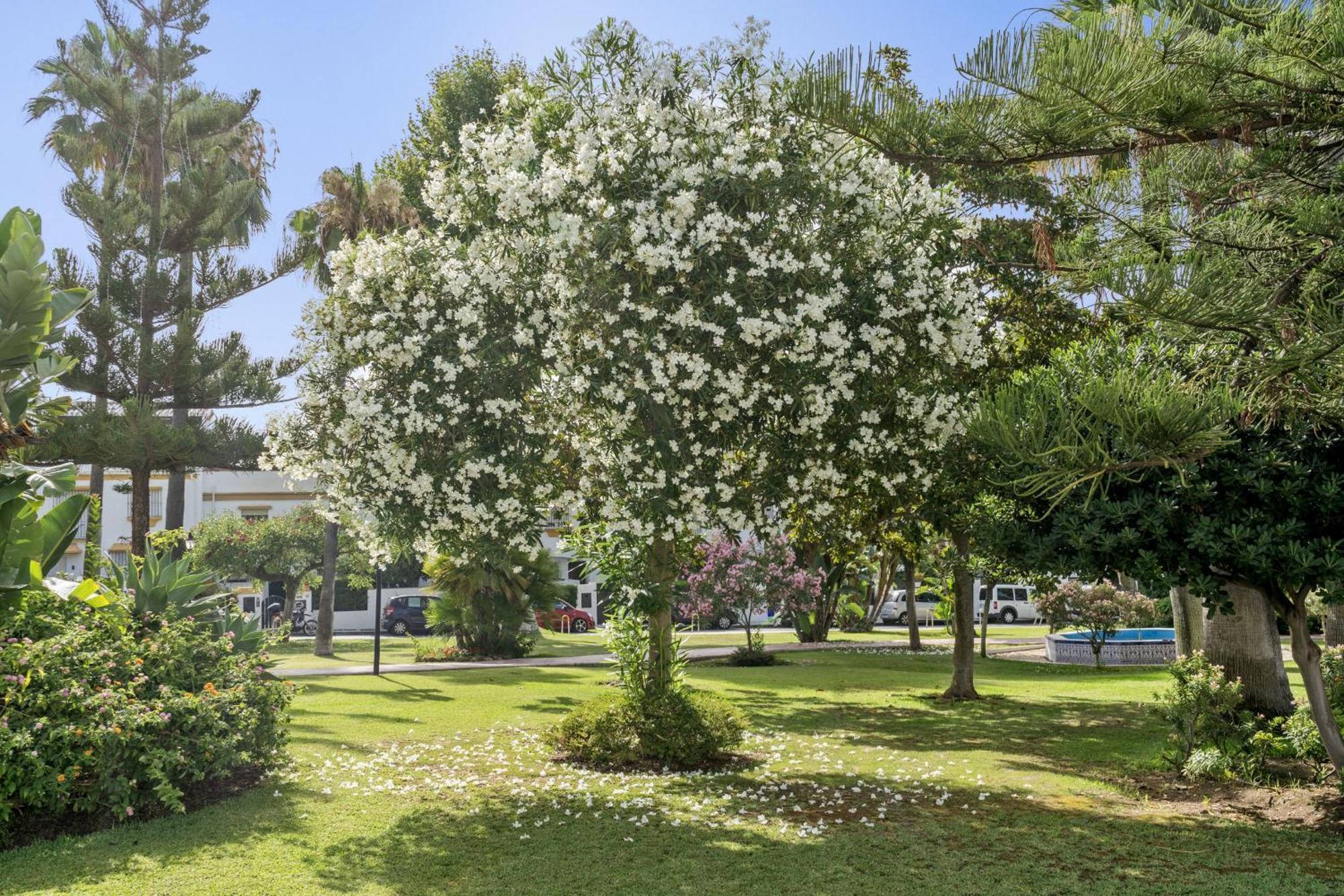 Casa Adriana Villa Marbella Eksteriør bilde